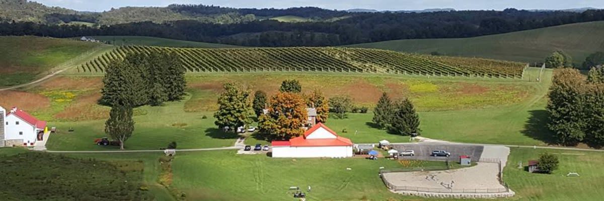 Thistlethwaite Haunted Wine Run 5k