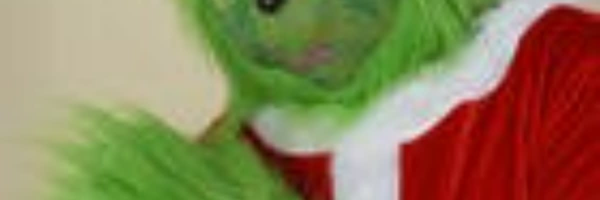 ROCKAWAY BEACH SANTA SUIT OR SANTS T-SHIRT /GRINCH FUN RUN/WALK & 5k