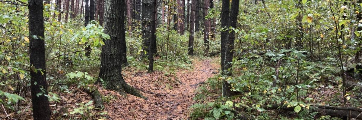 Veterans Trail Festival presented by Flick Financial