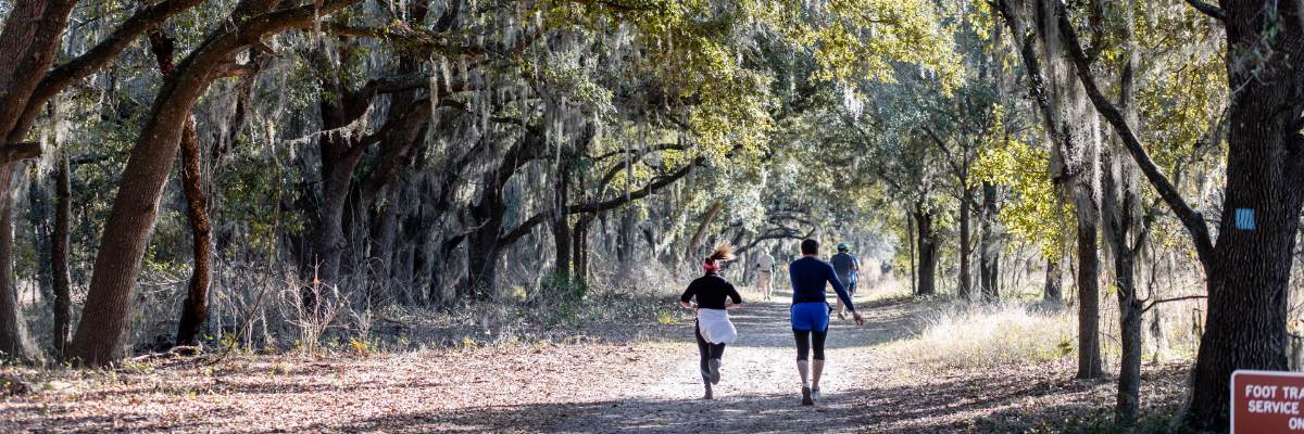 The Florida Run @ Lake Louisa State Park