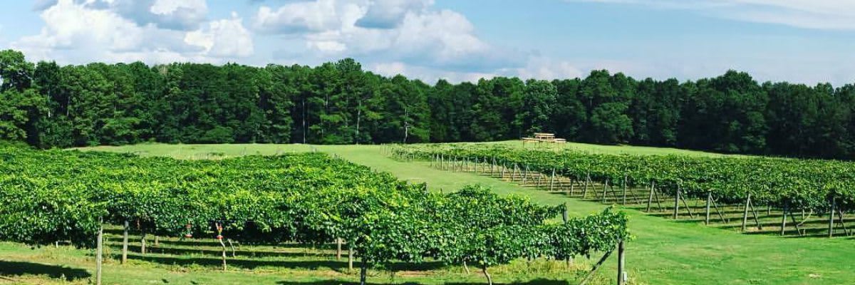 Enoree Haunted Wine Run 5k