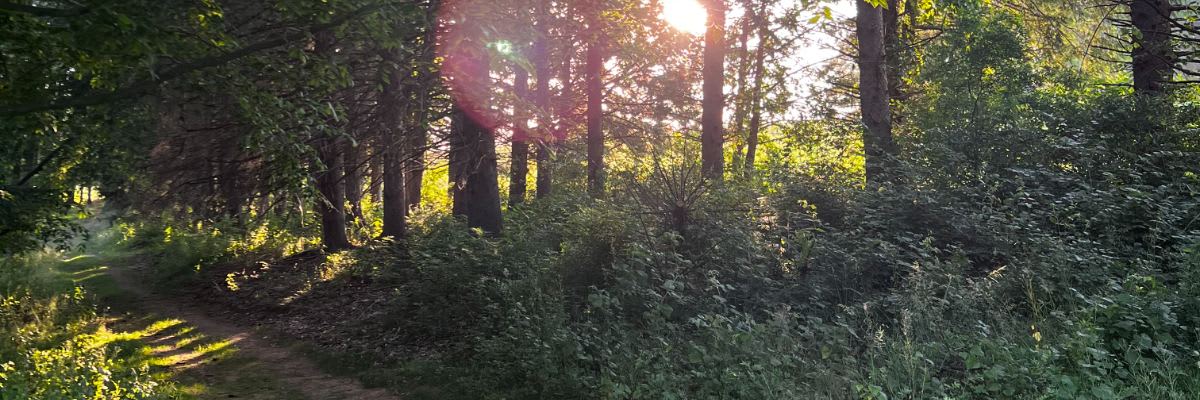Kettle Cooker Trail Race