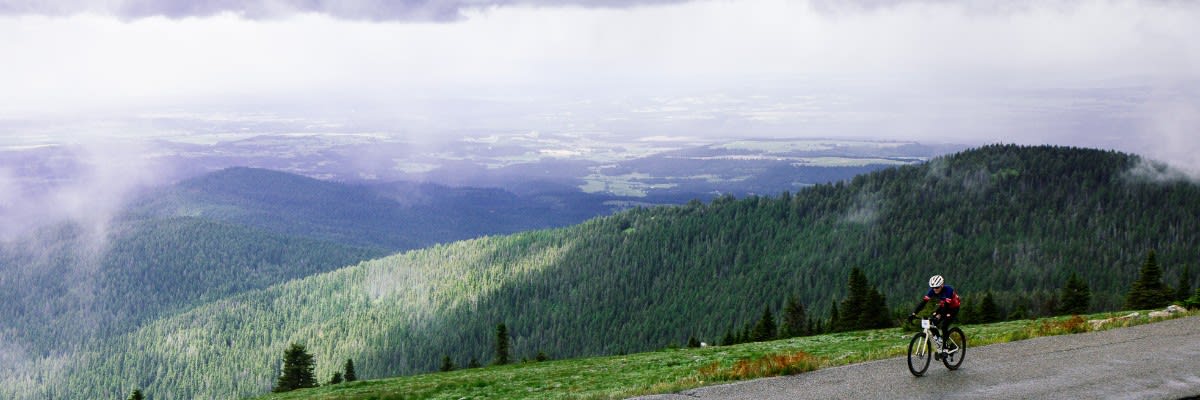 Climb for The Cure 2026