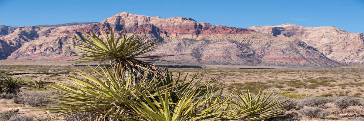 Red Rock Canyon Marathon, 1/2, and 5K
