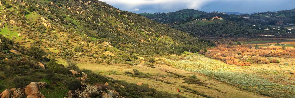 San Diego 50 & Trail Runs
