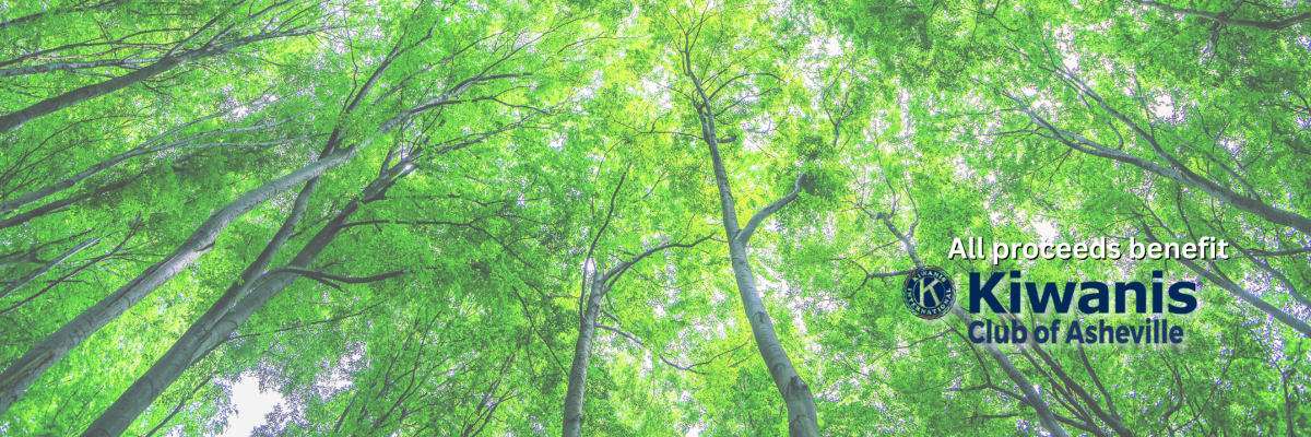 Biltmore Forest 5k/10k