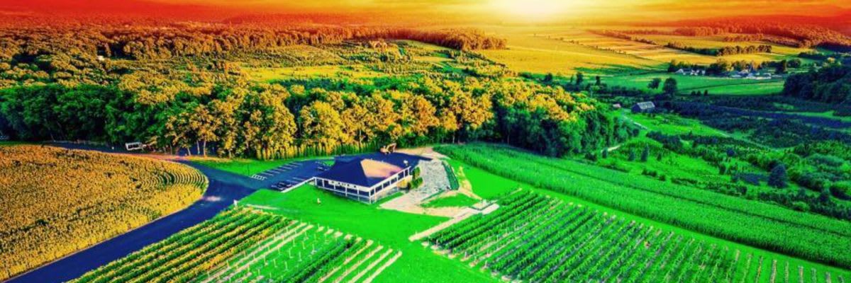 Blue Ridge Estate Wine Run 5k