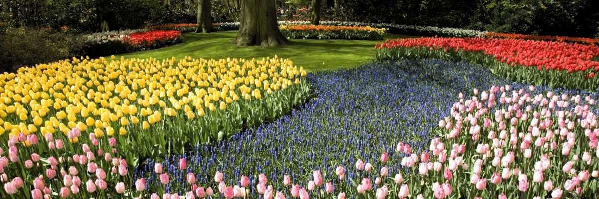 Kingwood 5K - June 13th 2026