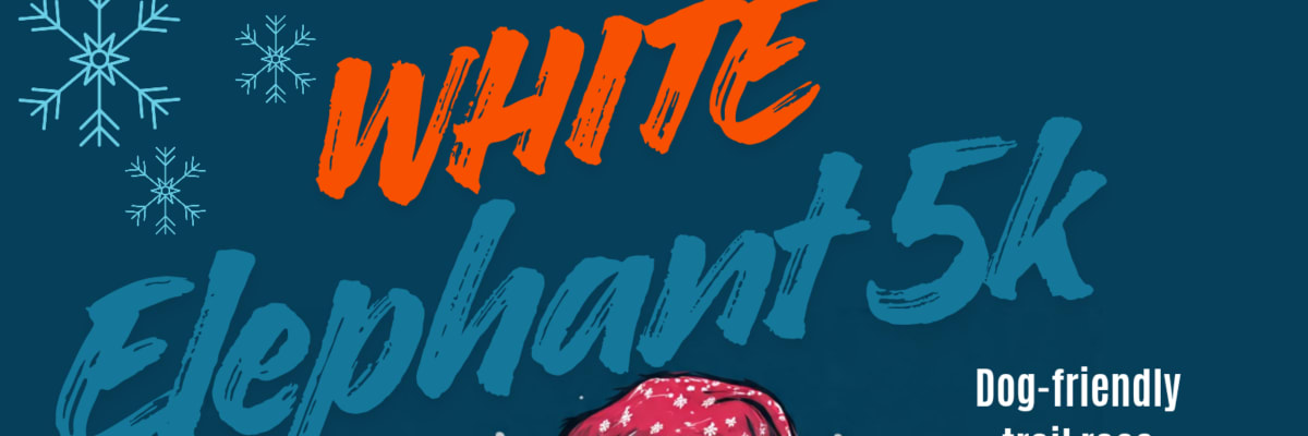 White Elephant