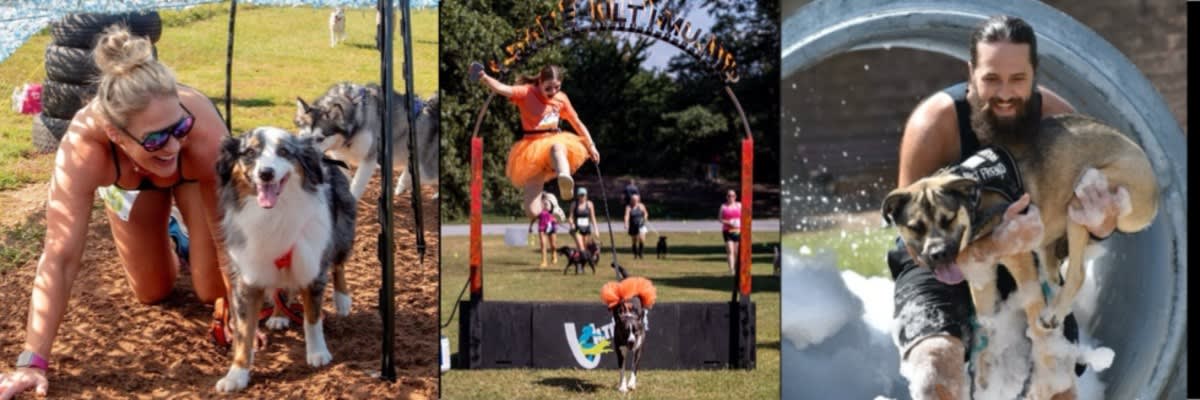 UltiMutt Race @ Tryon Resort