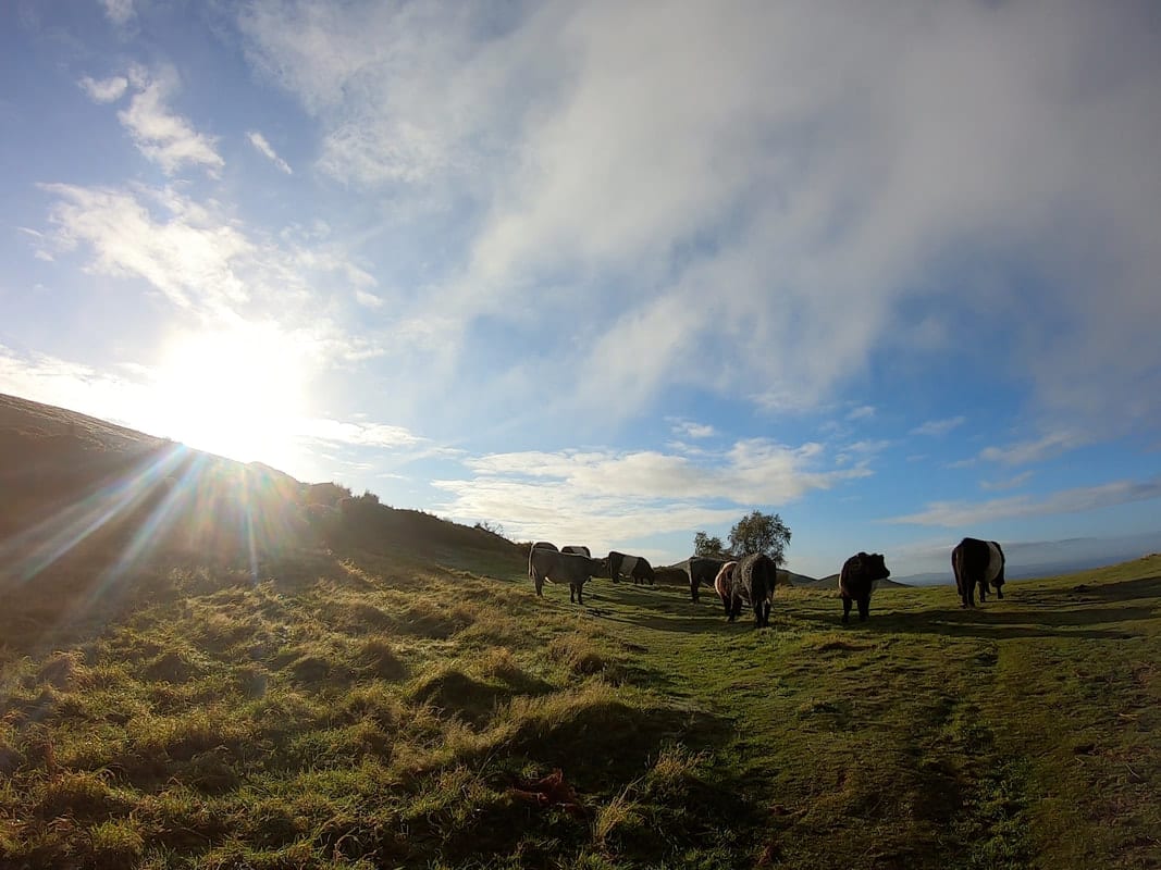 Serpent Trail Ultra Run - November 2026