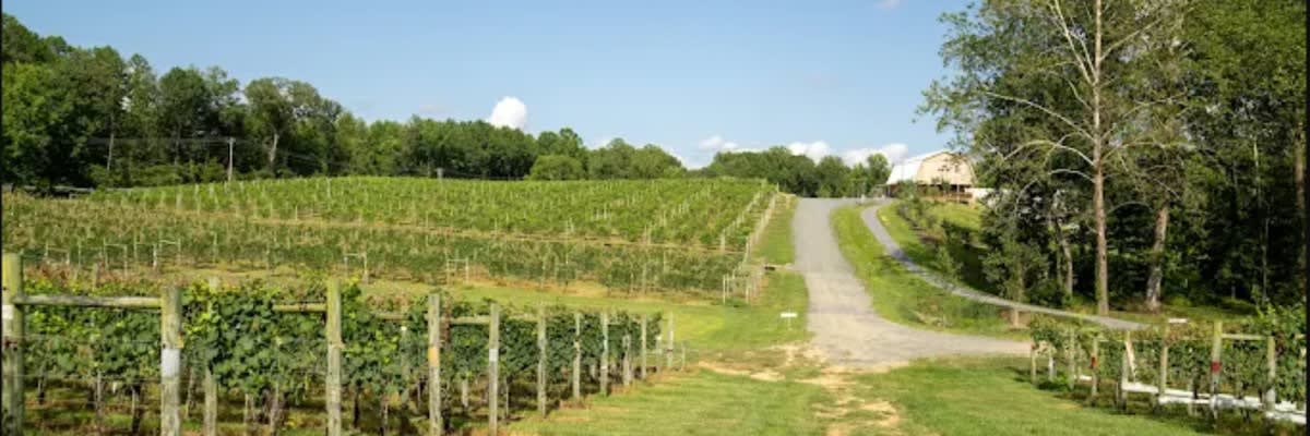 Corteau Vineyards Wine Run 5k