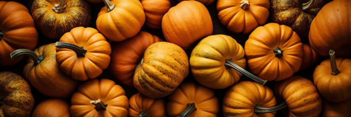 Great American Pumpkin Race