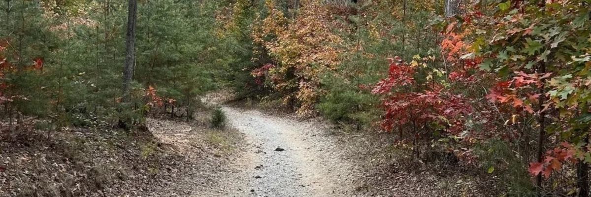 Deam Lake Loop Trail Run