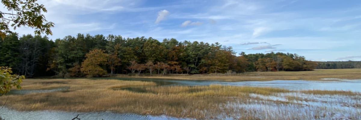 Buttermilk Mountain Backyard Bash
