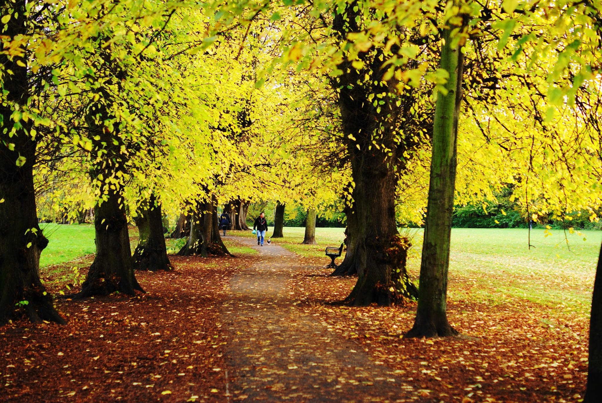 Beddington Park 10k 2026