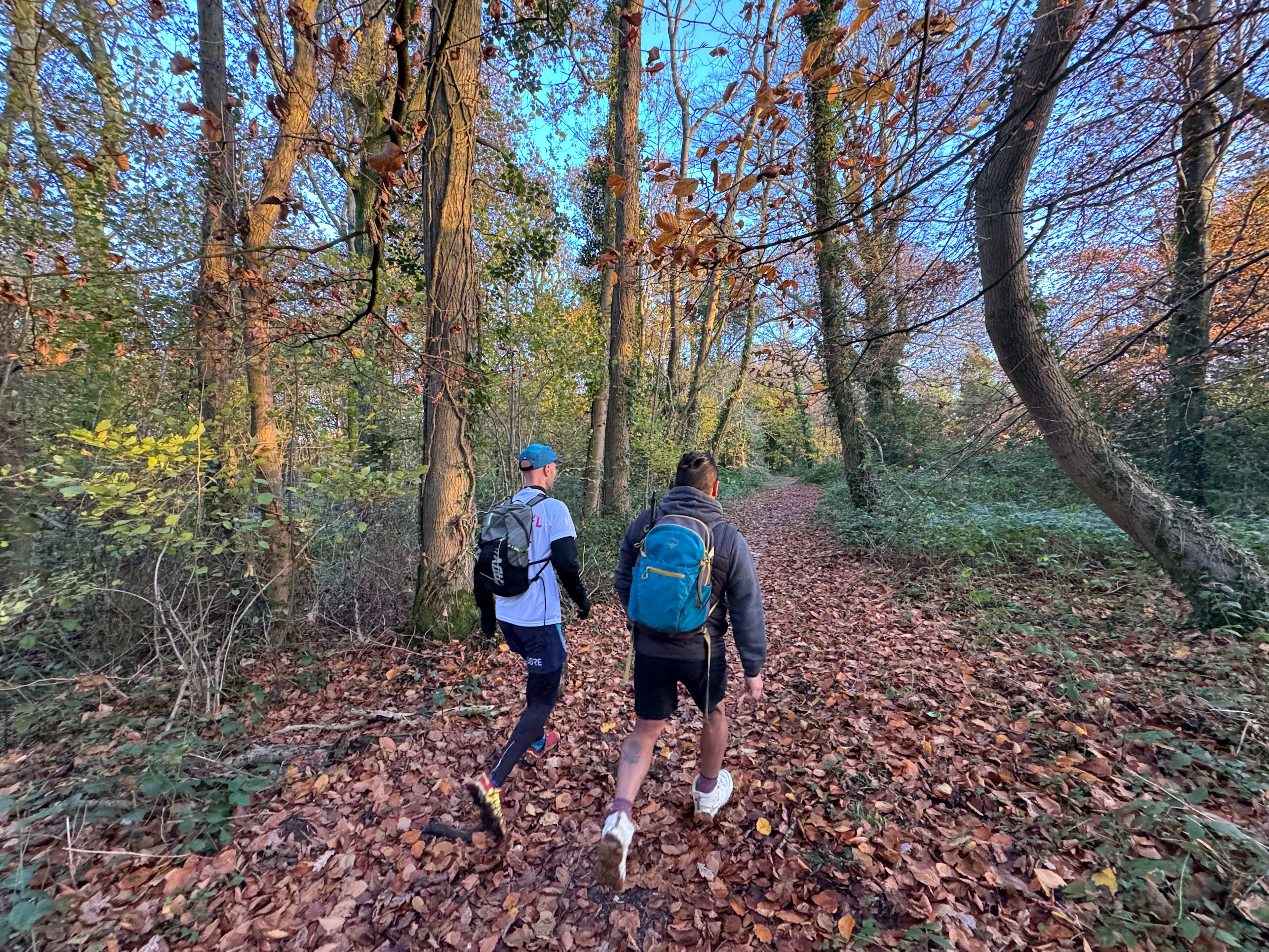 Stansted Park Trail Hike (Stansted House) 2026