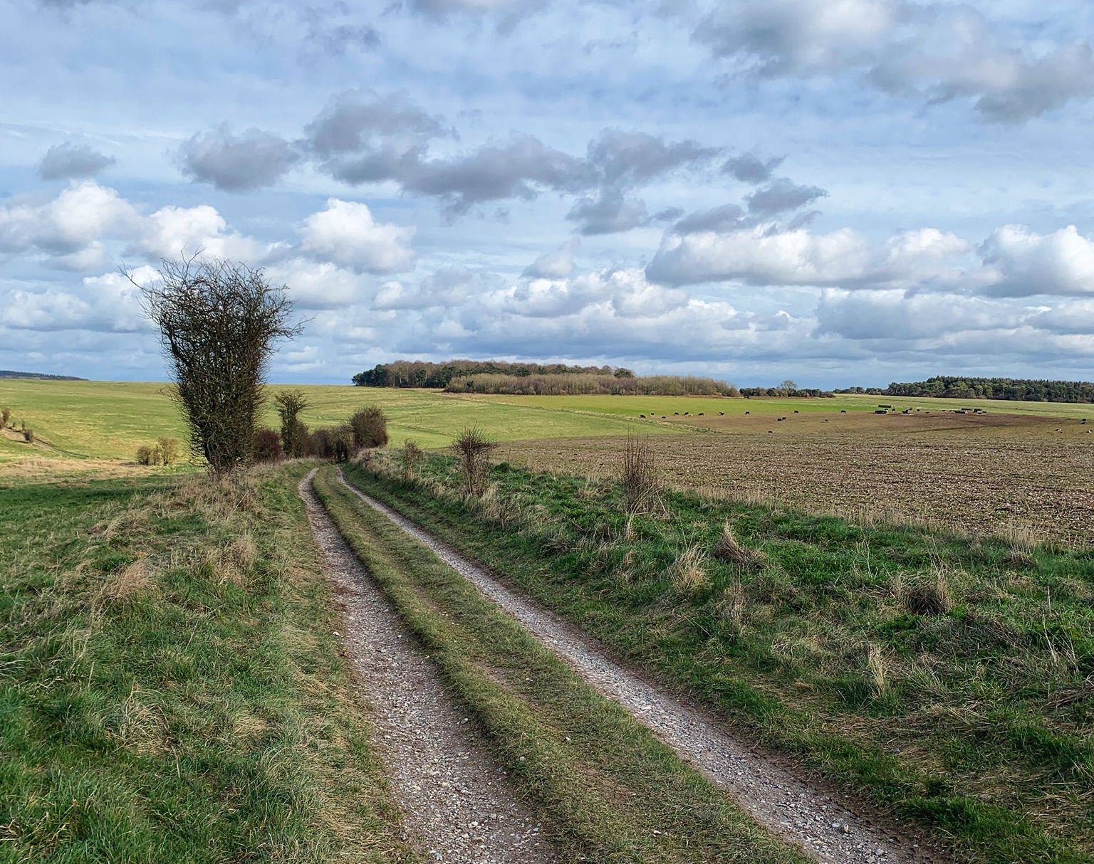 North Wales Gravel X Road Cycling in Ruthin — Let’s Do This