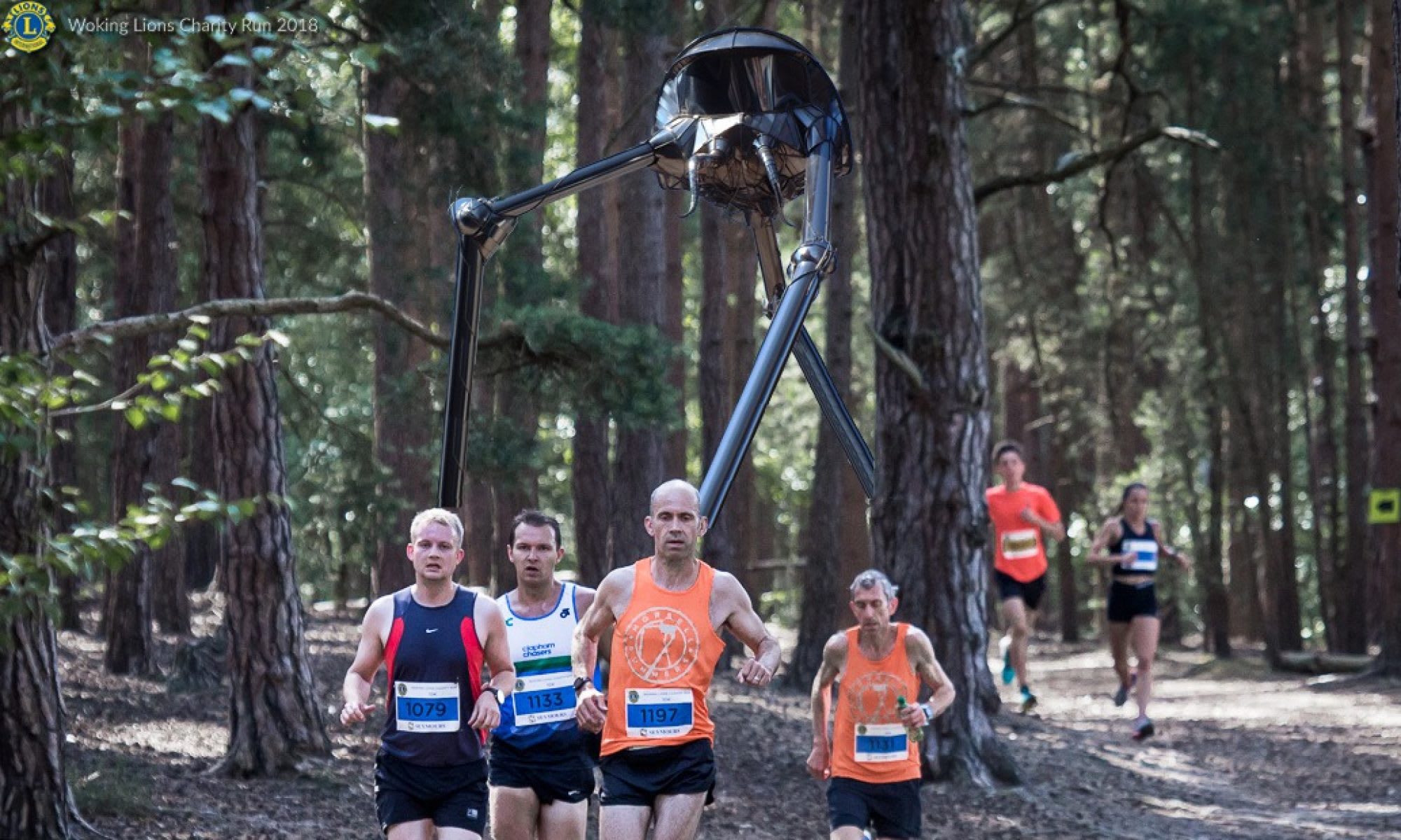 Woking Trail Running Festival Running in Woking — Let’s Do This