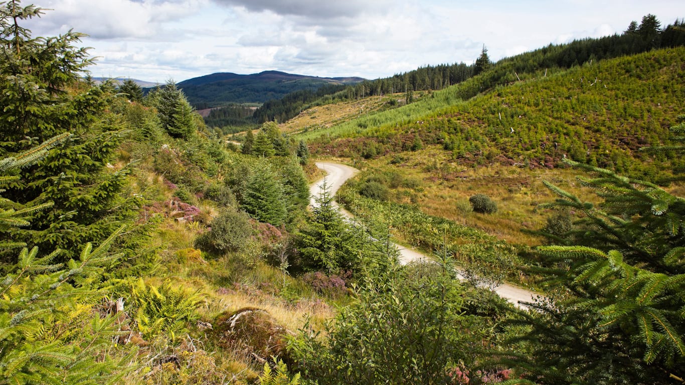 Aberfoyle Gravel Epic Mountain Biking in Aberfoyle — Let’s Do This