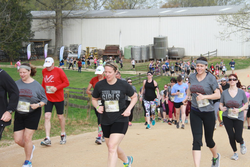 Run the Vineyards Ingleside Vineyards 5K/10K Running in Oak Grove — Let’s Do This