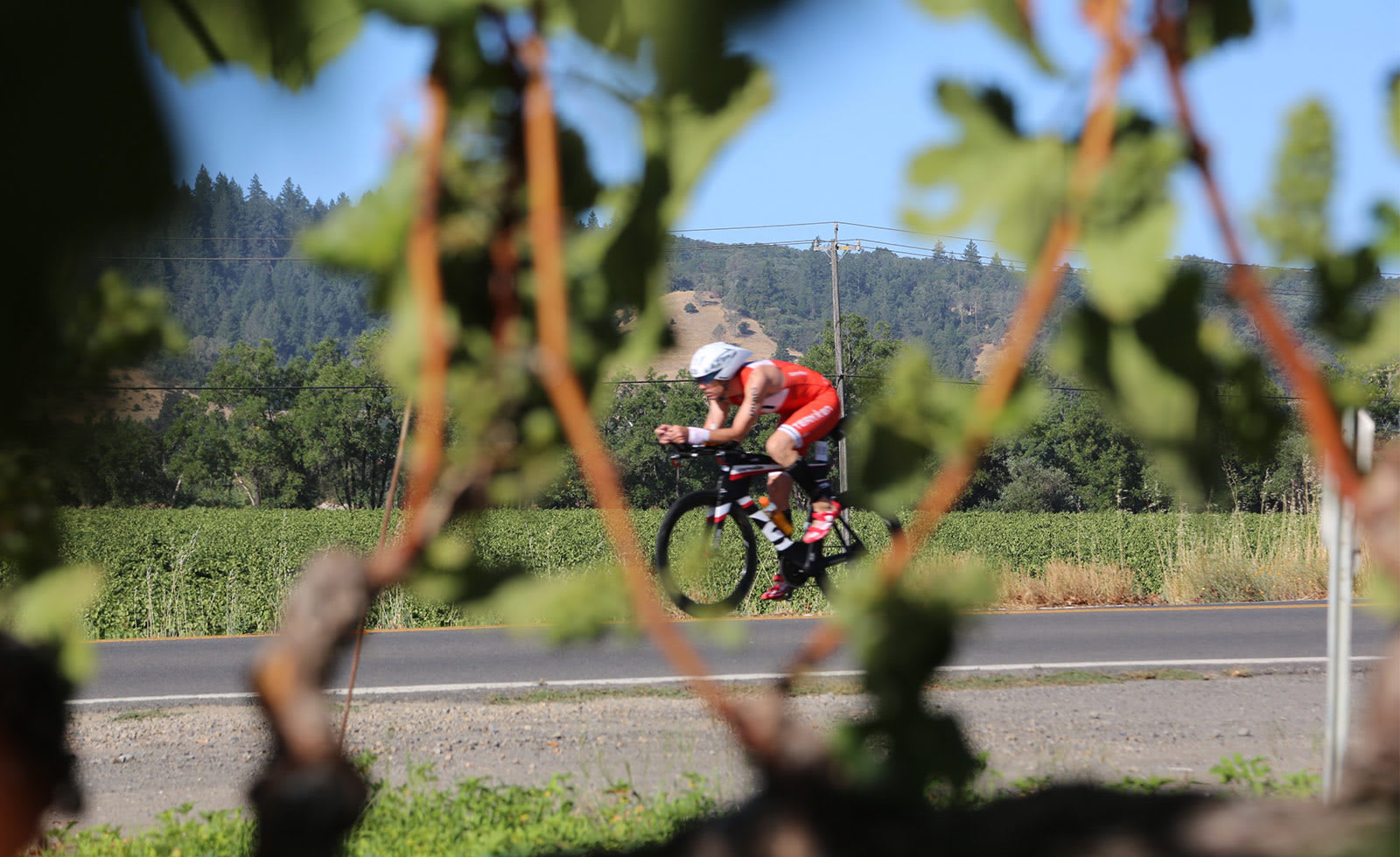Santa Cruz Triathlon Triathlon in Santa Cruz — Let