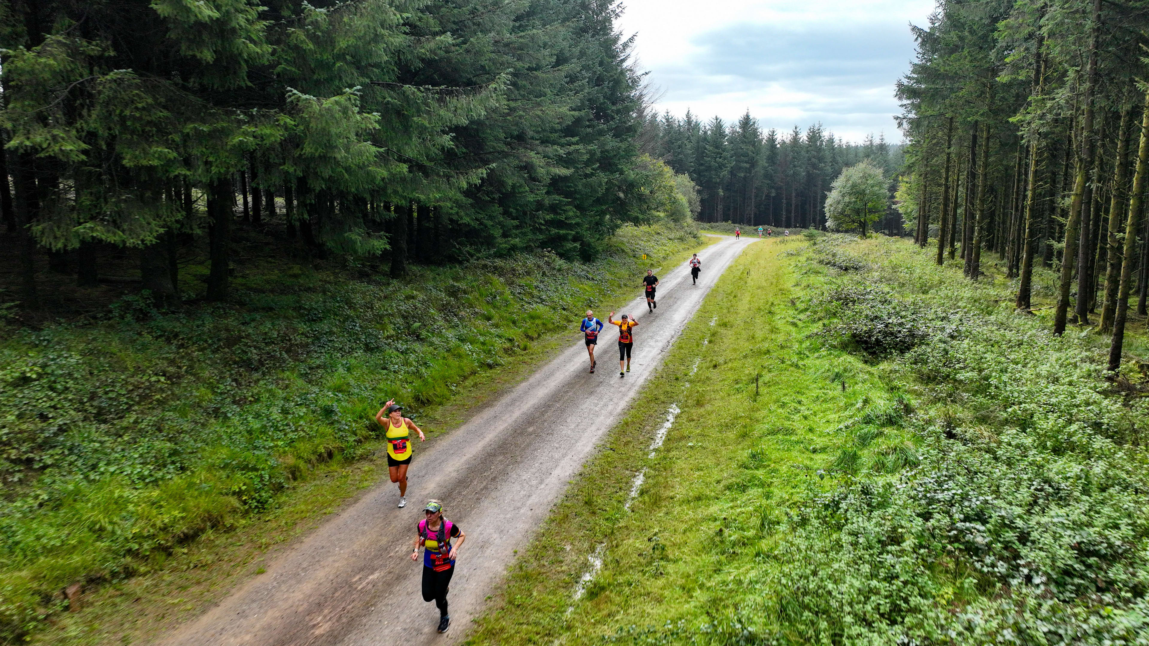 Swansea Trail Half Marathon Running in Penrice — Let’s Do This