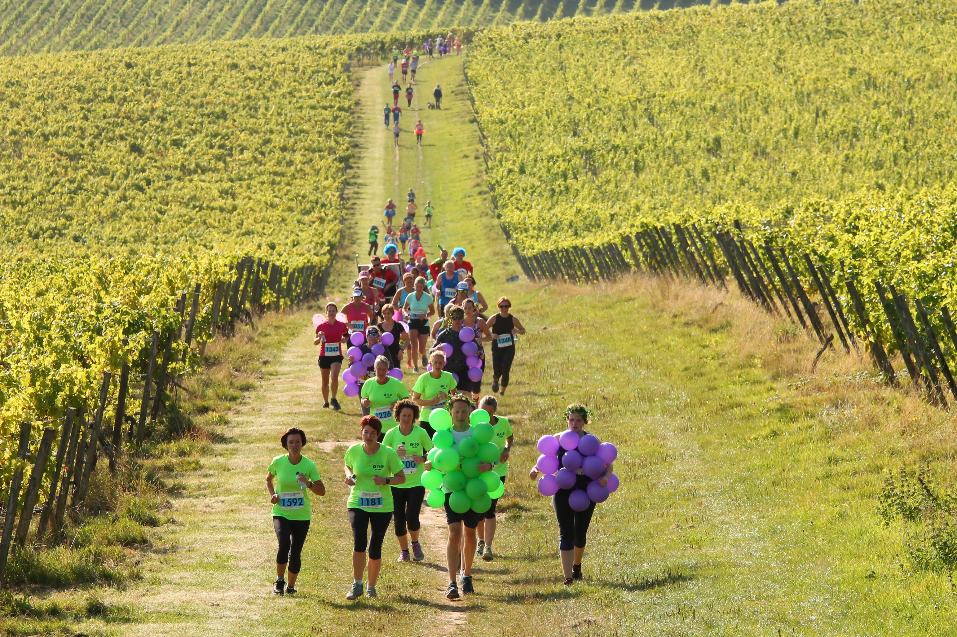 Bacchus Wine Half Marathon & 10k 2023 Running in Dorking — Let’s Do This