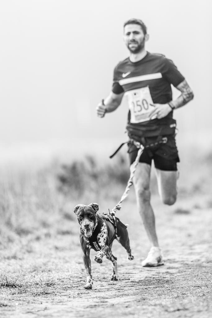 High Lodge Canicross 5k Series - Race 2