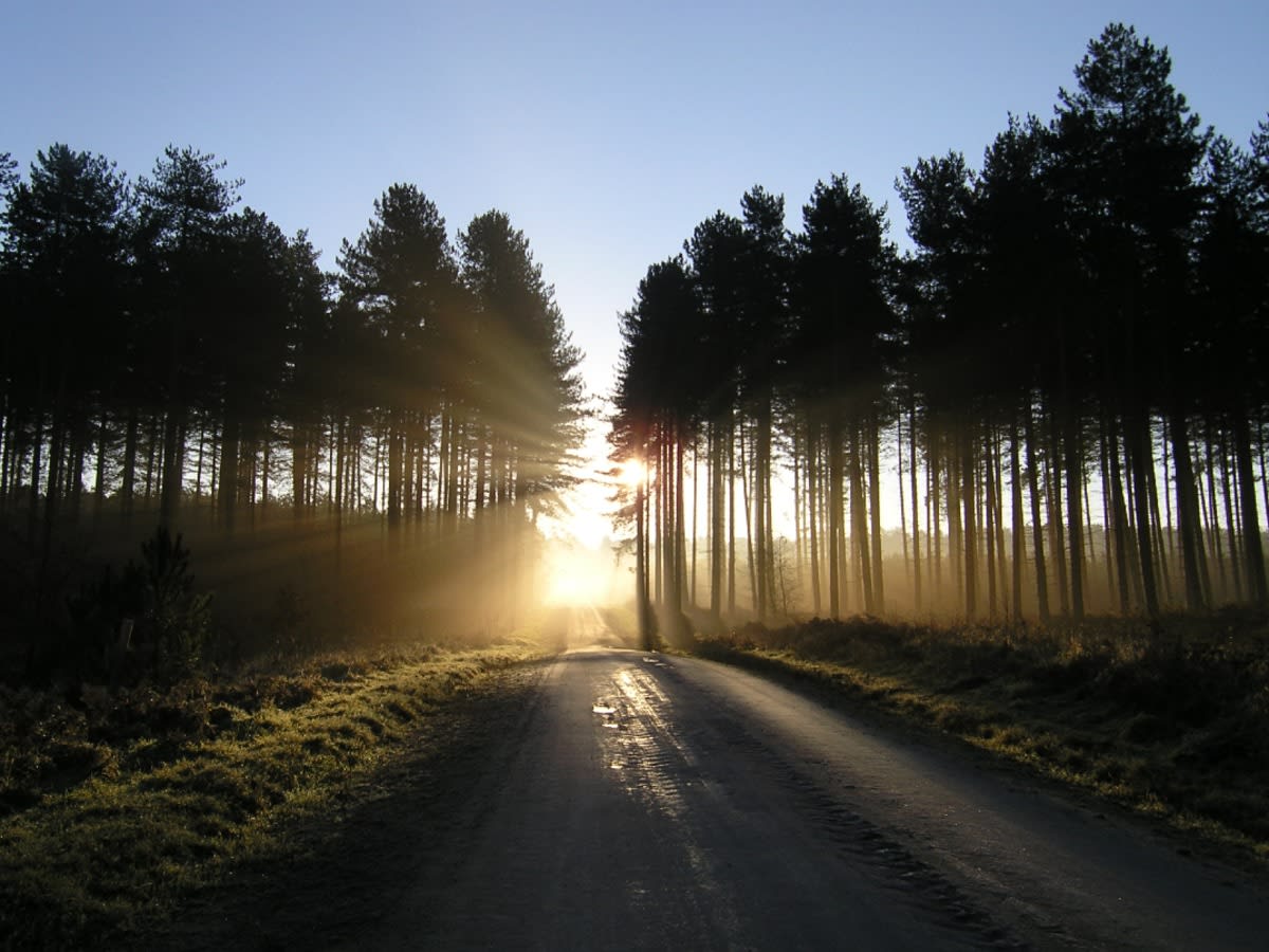 Sherwood New Year 10k & 5k Running in Edwinstowe — Let’s Do This