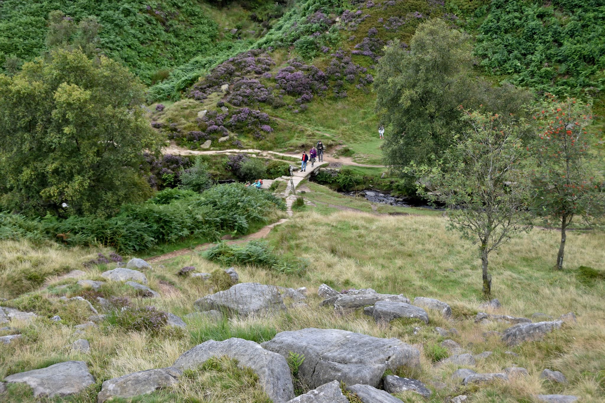 Wuthering Heights Wander Haworth 2024