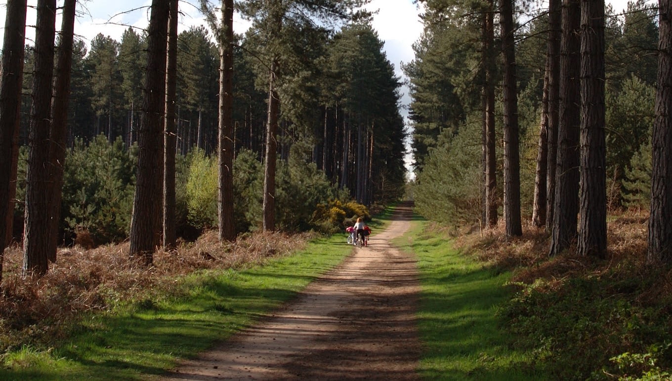 Sherwood Pines Gravel X Mountain Biking in Clipstone — Let’s Do This