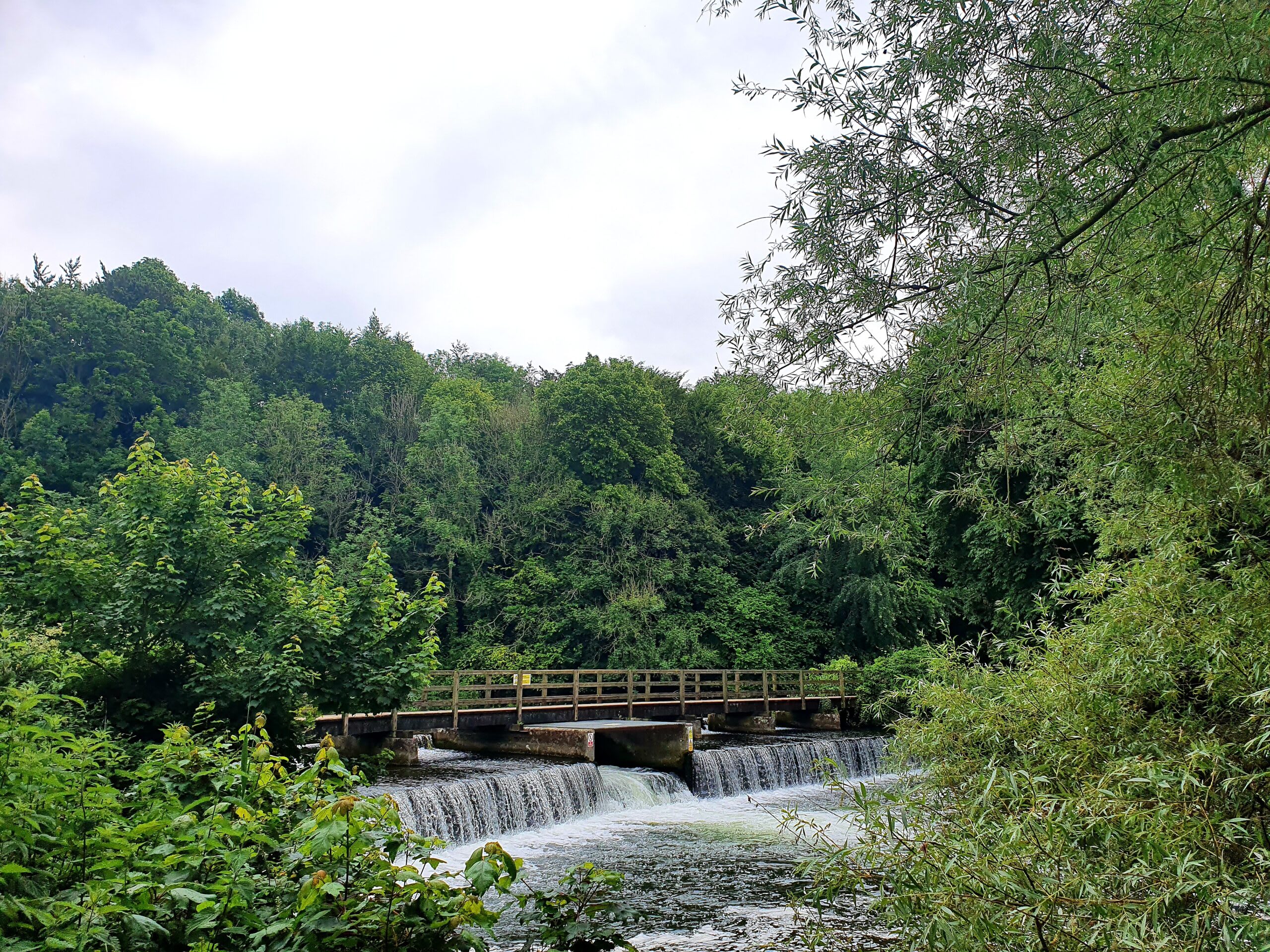 BigSky New Forest Trail Marathon & 18 Mile Running in Frogham — Let’s