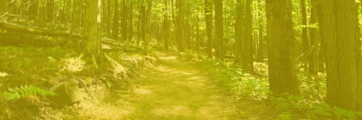 Canaan Valley Trail Run