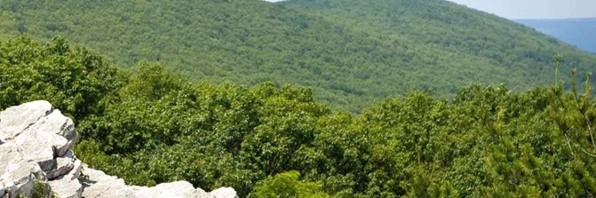 Great Appalachian Valley Race: Half Marathon, 10K and 5K