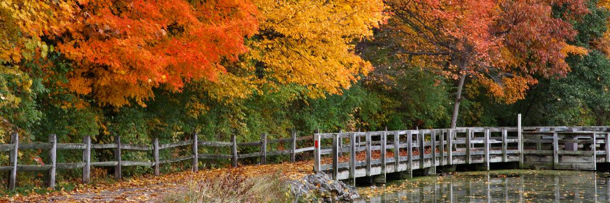 Strouds Run Trail Race