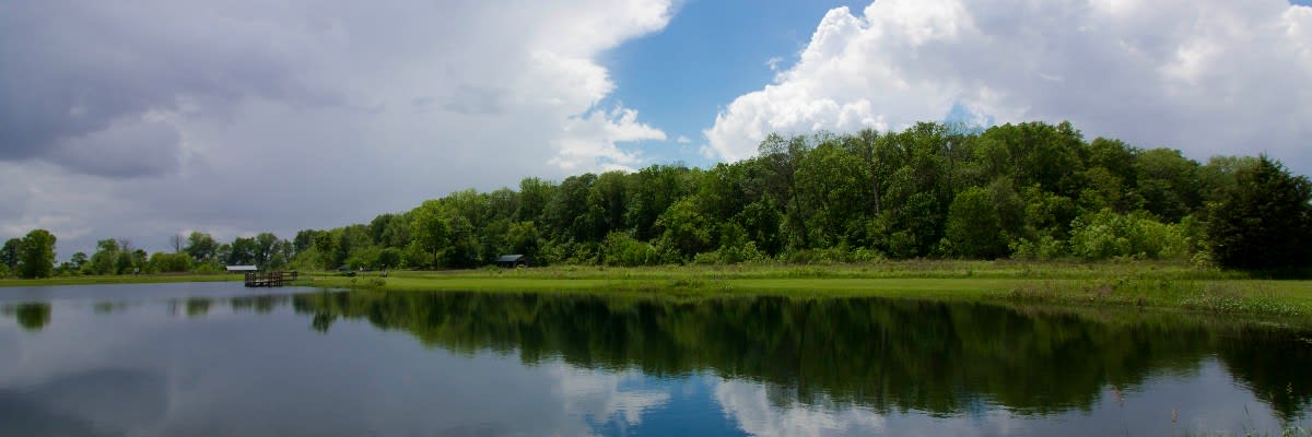 Garbry Big Woods Reserve 5k (Miami County Parks Trail Run Challenge)