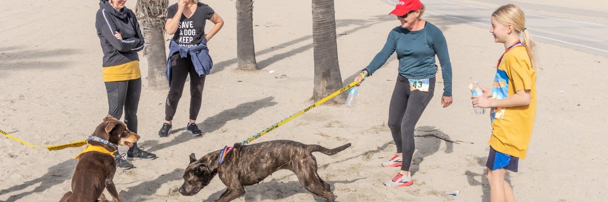 Bob Long Memorial Mutt Run 1K & 5K