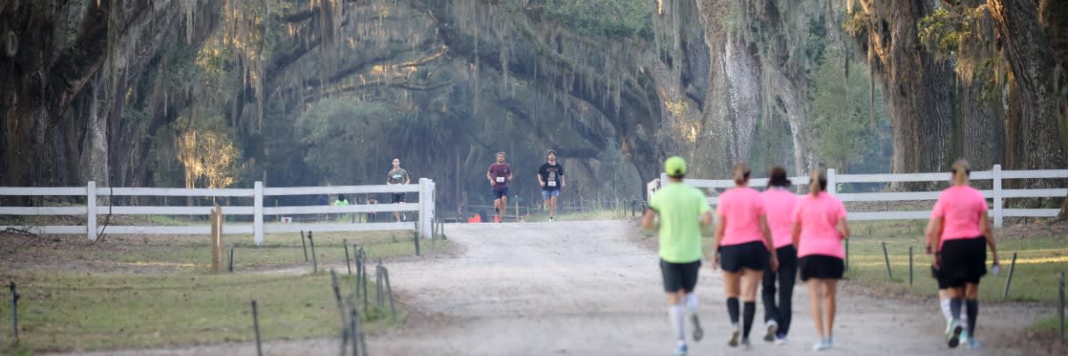 Sunburn at Wormsloe.  Trail 1/2 Marathon and 10k