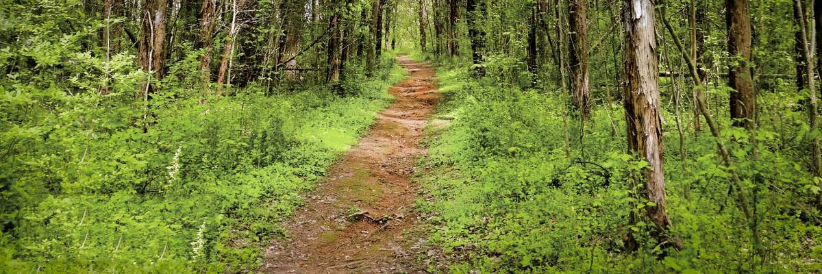 BLUE STEEL STAMPEDE Trail Races 21K/HALF, 10k & 5K