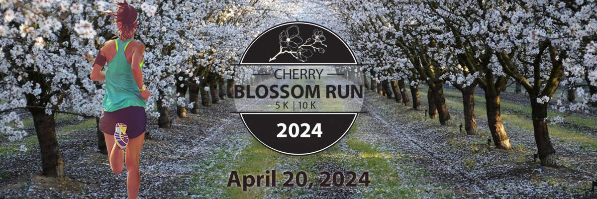 The Cherry Blossom Run