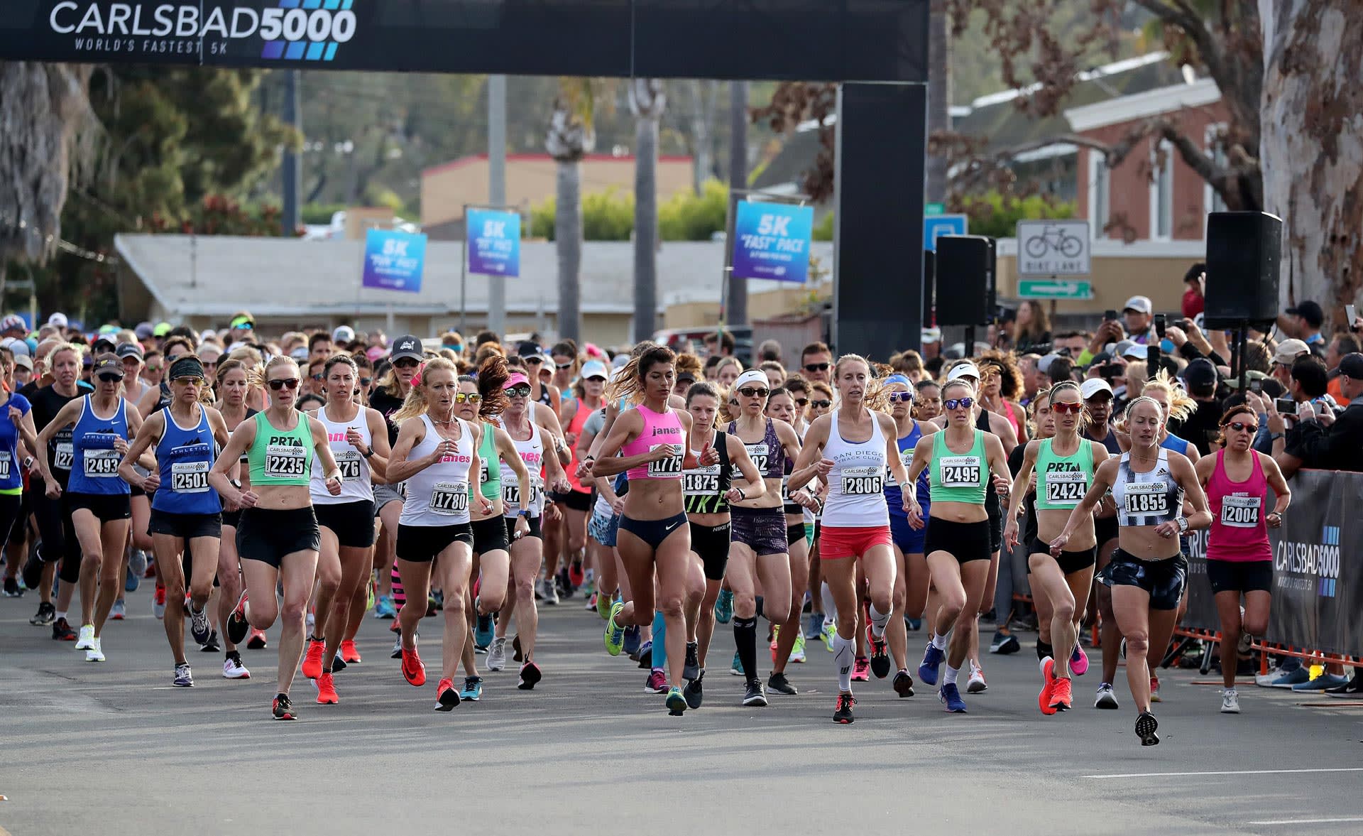 Carlsbad 5000 The World's Fastest 5k 2022 Running in Carlsbad — Let