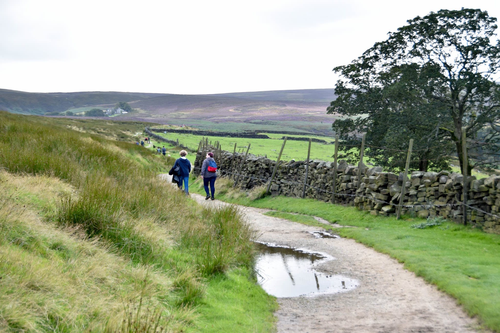 Wuthering Heights Wander Haworth 2024 Running in Haworth — Let’s Do This
