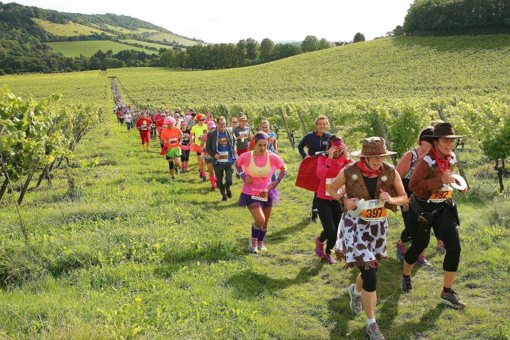 Marathon du Medoc 2021 5k in Pauillac, NouvelleAquitaine — Let’s Do This