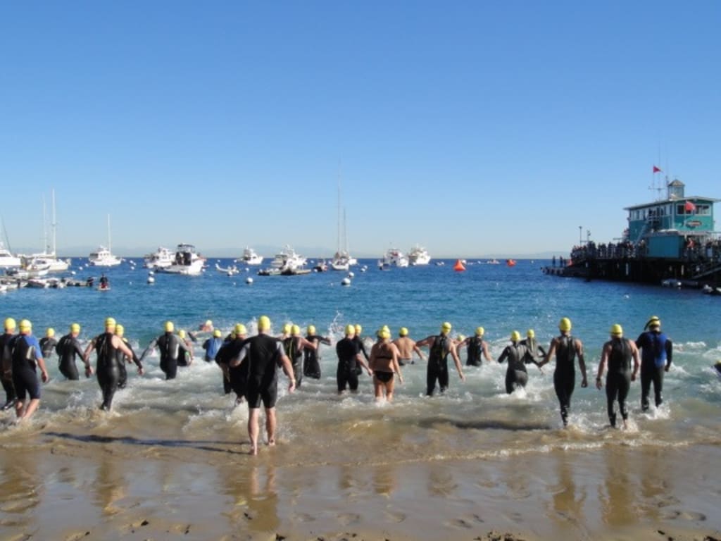 Catalina Island Triathlon, Duathlon & 5k 2019 Sprint Triathlon in