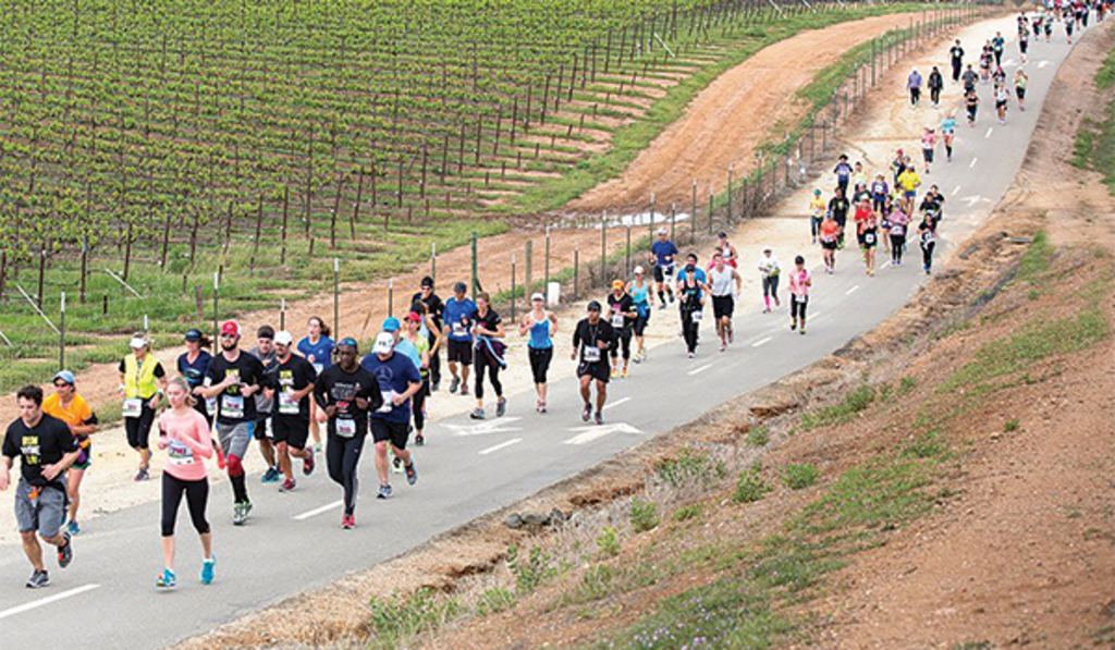 Livermore Valley Half Marathon 2020 Half Marathon in Livermore, CA