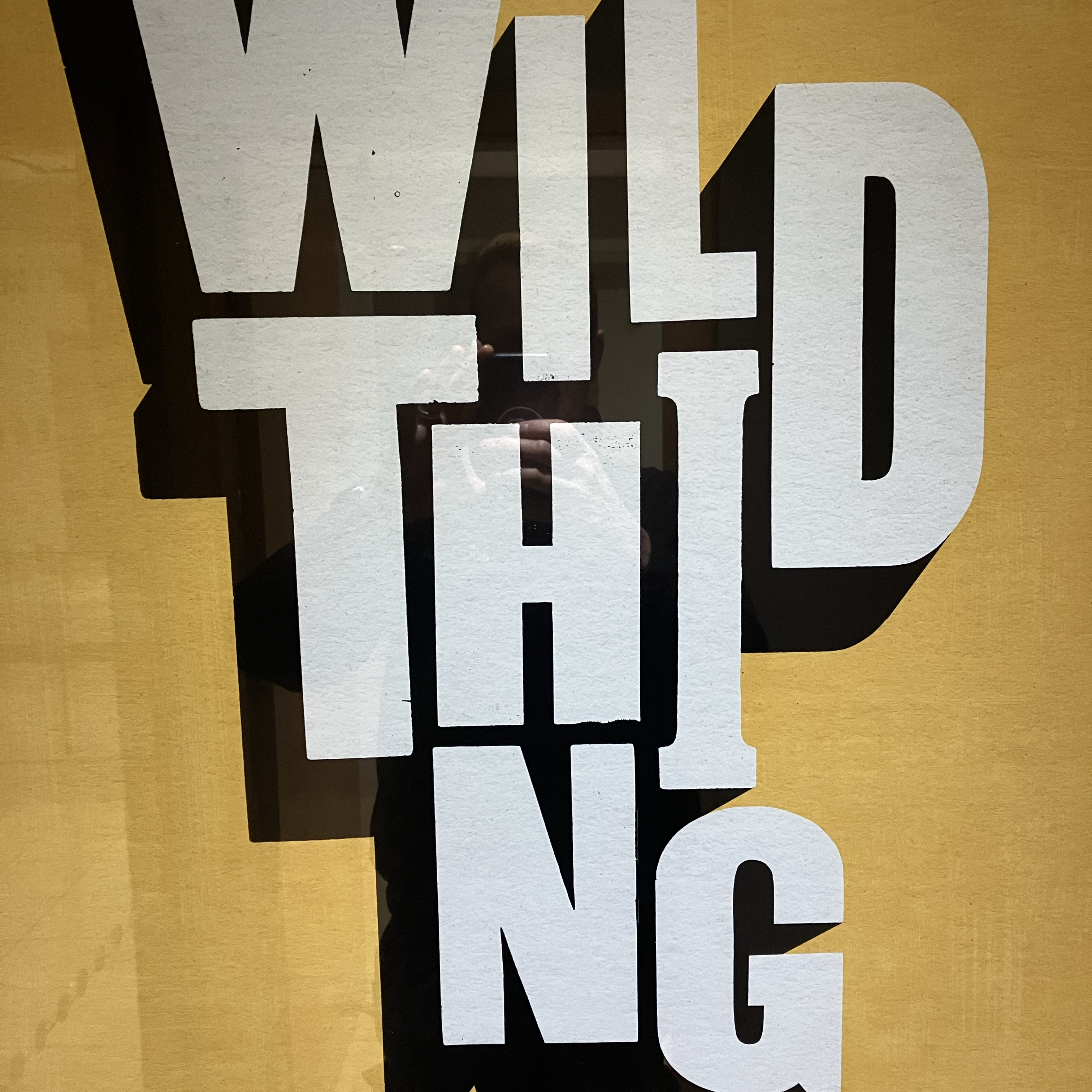 Stephen Wilding