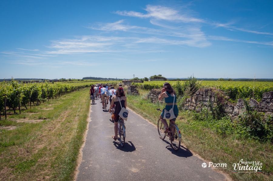 Anjou Vintage Bike - Saumur Loire Valley Tourism