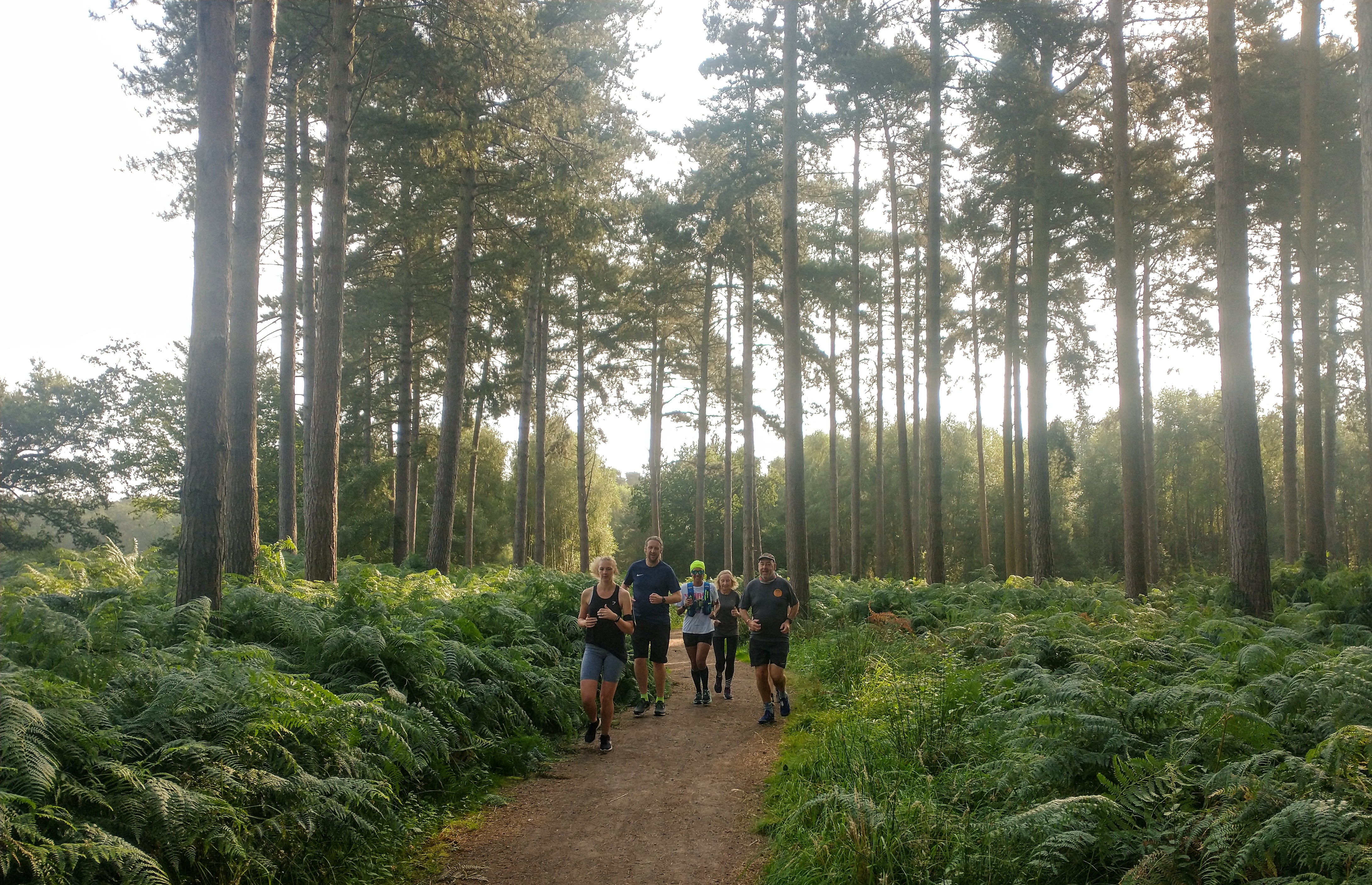 19+ Thetford Woods Trail Run 2023