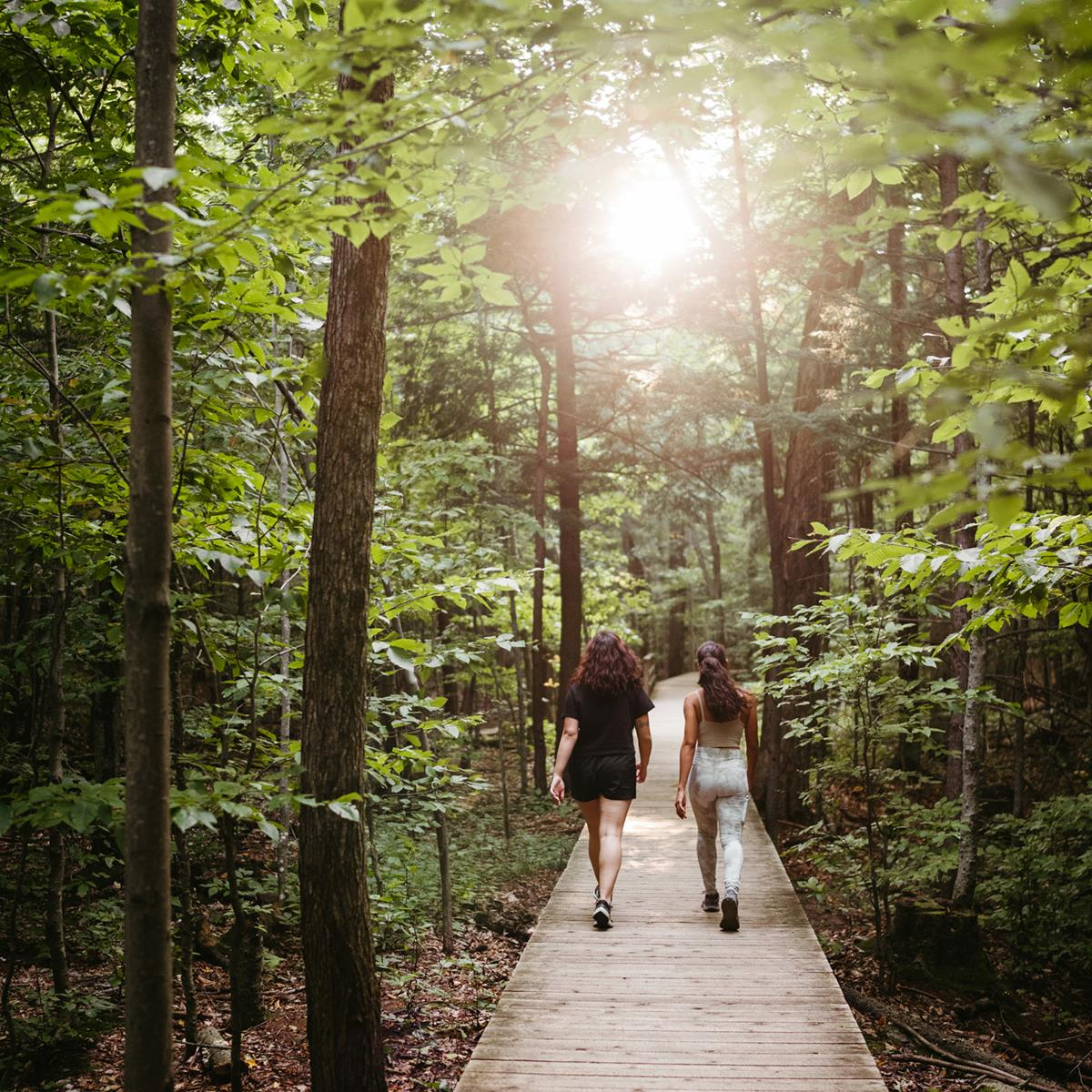 Mont-Saint-Hilaire / Gault Nature Reserve